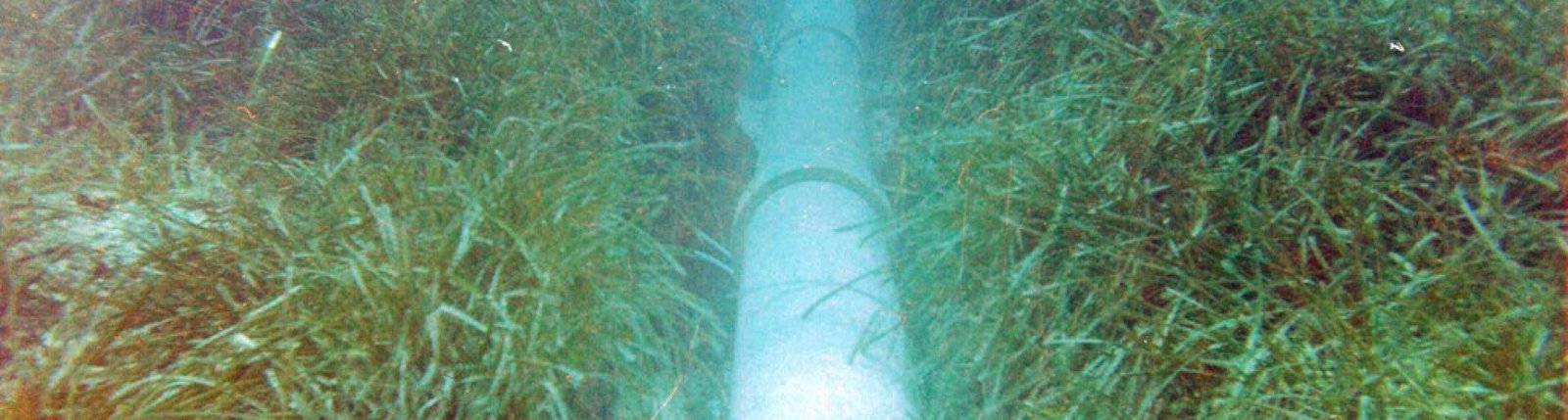 Emisarios submarinos