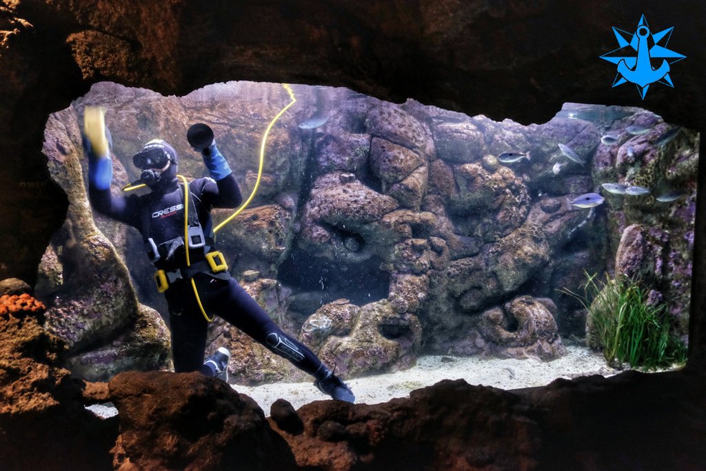 Limpieza acuarios